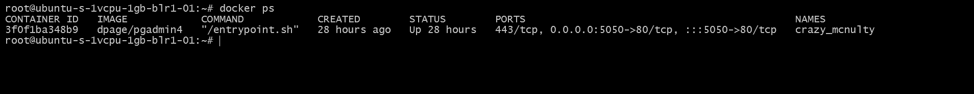 Docker PS Output